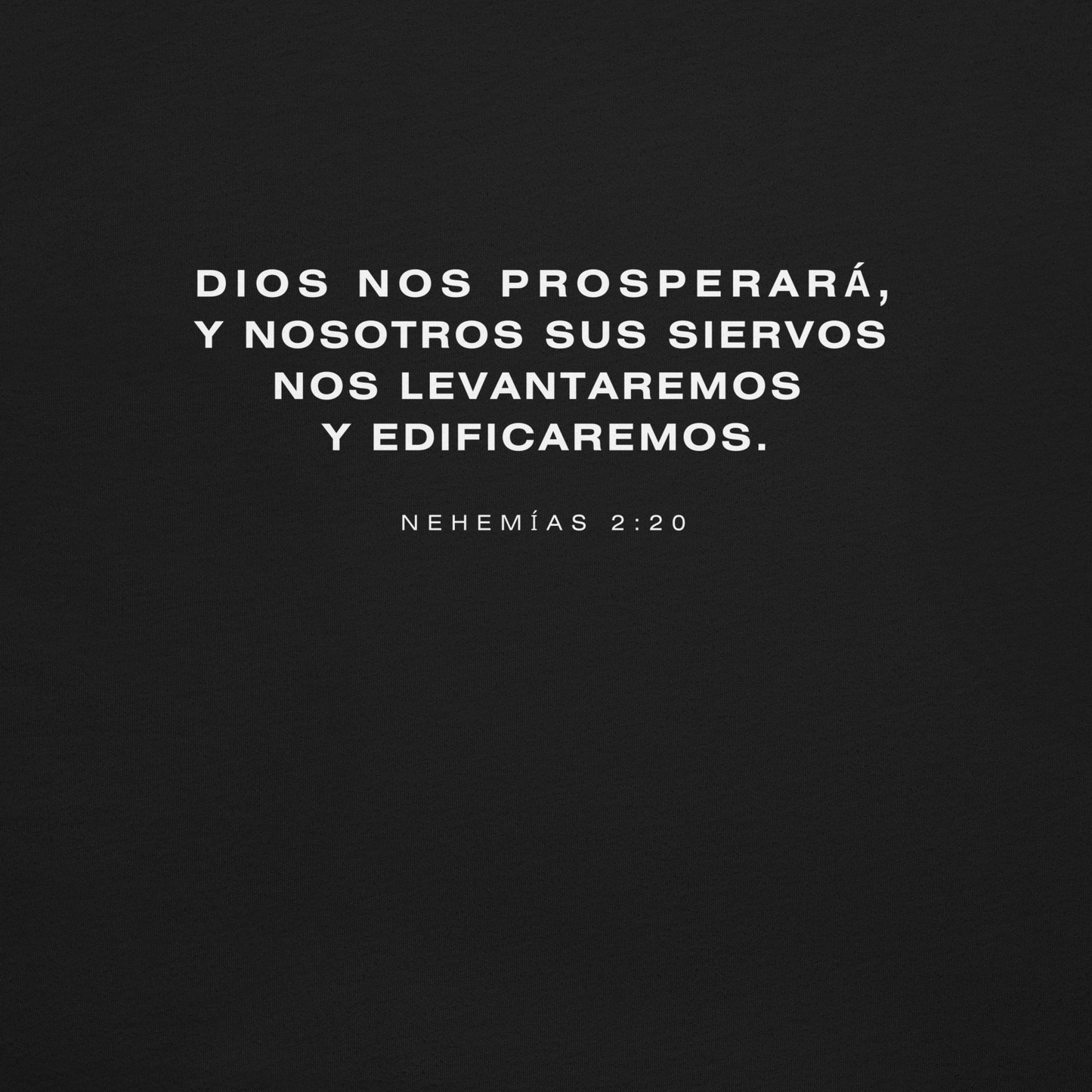 SOY PRO-TEMPLO | Camiseta Unisex – Edición Visión Nehemías